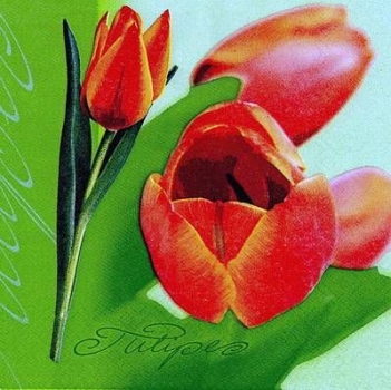 s8243 - Tulipe - Servietten - Packung - 20 Stück