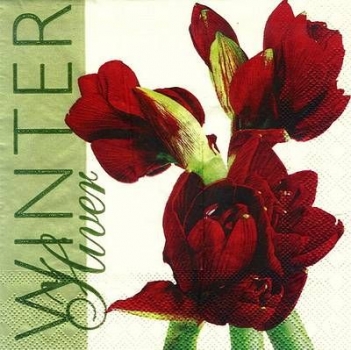 s8263 - Amaryllis Winter - green - Napkins - Package - 20 pcs.