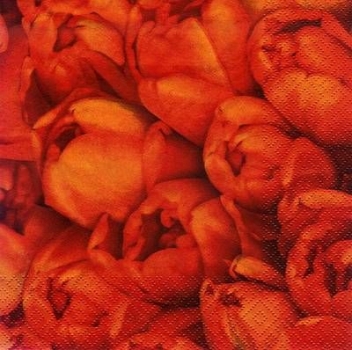 s8285 - Tulpenmeer/rot - Servietten - Packung - 20 Stück
