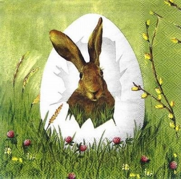 s8301 - Easter Outlook - white - Servietten - Packung - 20 Stück