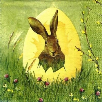 s8335 - Easter Outlook - yellow - Servietten - Packung - 20 Stück