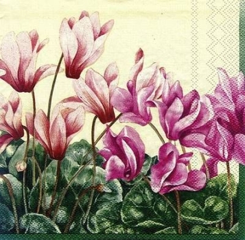 s8351 – Blumen – Servietten – 33 x 33 cm - Packung – 20 Stück
