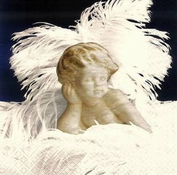 s8408 - Angelico - black - Servietten - Packung - 20 Stück