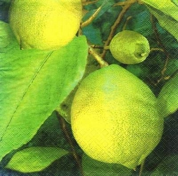 s8556 - Green Lemon - Servietten - Packung - 20 Stück