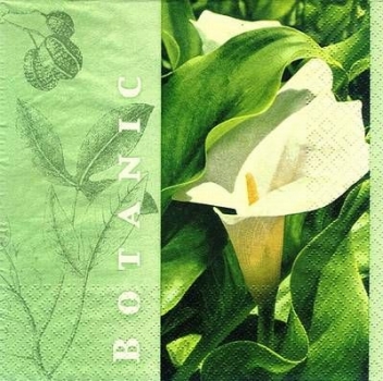 s8568 - Calla Botanica  - Napkins - Package - 20 pcs.