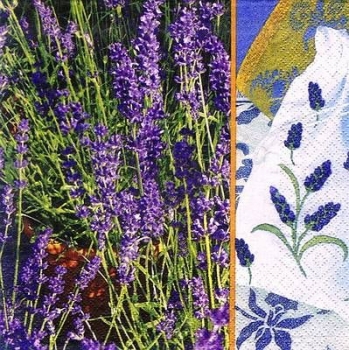 s8570 - Sunny Lavander - Napkins - Package - 20 pcs.