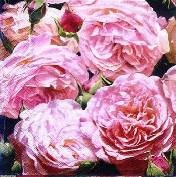 s8591 - Englisch Rose - Napkins - Package - 20 pcs.