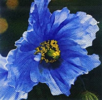 s8602 - Opaline - blue - Napkins - Package - 20 pcs.
