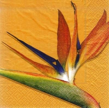 s8657 - Paradise Flower - Napkins - Package - 20 pcs..