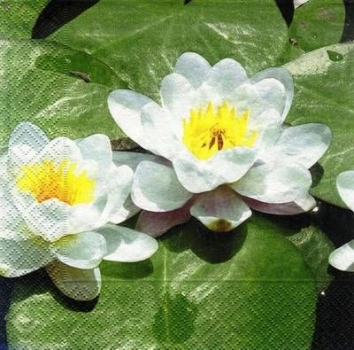 s8663 - Water Lilly - Napkins - Package - 20 pcs.