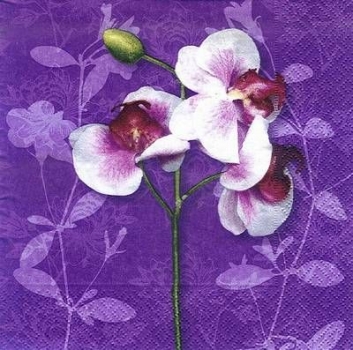 s8690 - Classic Orchid - Napkins - Package - 20 pcs..