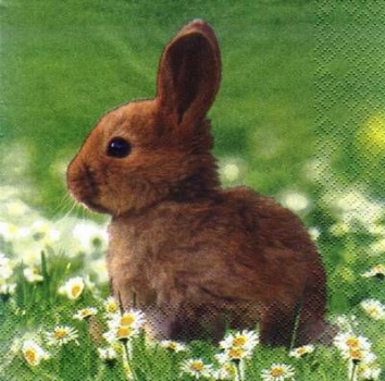 s8709 - Hoppelhase - Servietten - Packung - 20 Stück