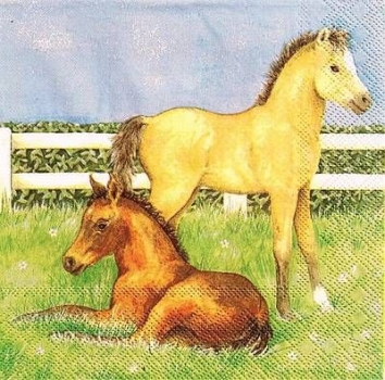 s8772 – Pferde – Fohlen – Servietten – 33 x 33 cm - Packung – 20 Stück