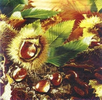 s8795 - Chestnuts - Servietten - Packung - 20 Stück
