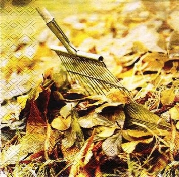 s8798 - Autumn Garden Works - Servietten - Packung - 20 Stück
