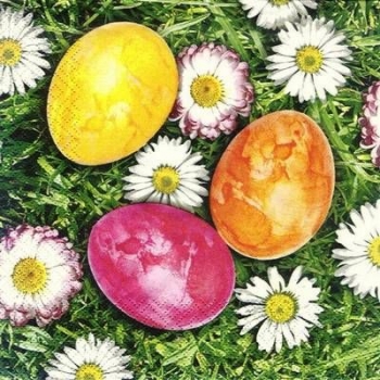 s8813 - Eggs & Daisies - Servietten - Packung - 20 Stück