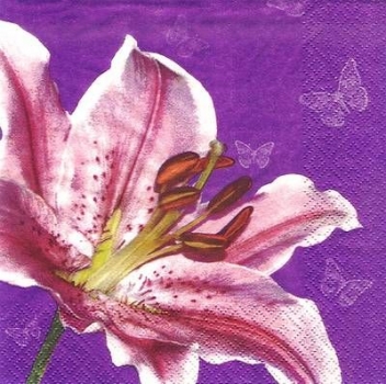 s8815 - Lily with Butterflies - Napkins - Package - 20 pcs..