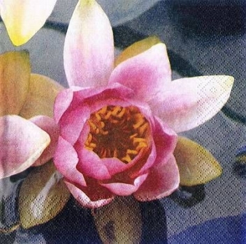 s8823 - Water Lily - Napkins - Package - 20 pcs..