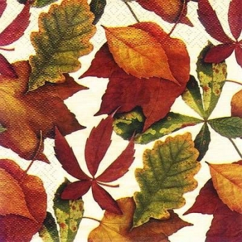 s8826 - Foliage - ivory - Napkins - Package - 20 pcs.