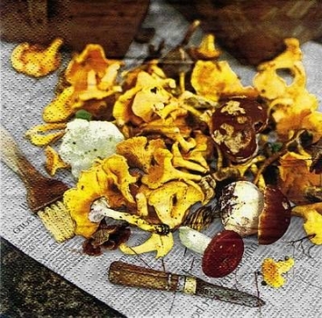 s8830 - Mushroom Foray - Servietten - Packung - 20 Stück