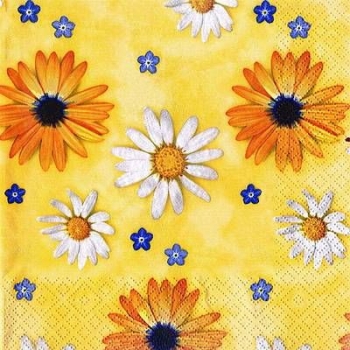 s8831 - Daisy Symphony - yellow - Napkins - Package - 20 pcs.