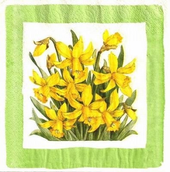 s8869 – Narzissen – Osterglocken – Servietten von WIDA – 33 x 33 cm - Packung – 20 Stück