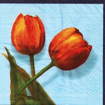 s8884 - Tulpen - Servietten von WIDA - Packung - 20 Stück