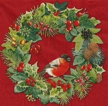 s9029 - Winter Bird - red - Servietten - Packung - 20 Stück