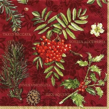 s9125 - Taxus Baccata - red - Servietten - Packung - 20 Stück