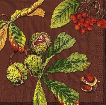 s9140 - Castanea - brown - Napkins - Package - 20 pcs.