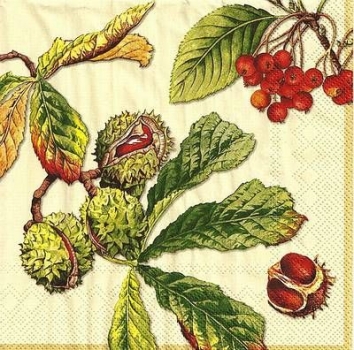 s9147 - Castanea - cream - Napkins - Package - 20 pcs.