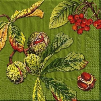 s9150 - Castanea - green - Servietten - Packung - 20 Stück