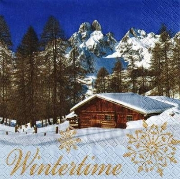 s9215 - Wintertime - Servietten von STEWO - Packung - 20 Stück