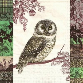 s9264 - Owl - Napkins - Package - 20 pcs.