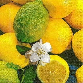 s9291 - Lemon - Servietten - Packung - 20 Stück