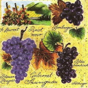 s9361 - Weinlese - Servietten - Packung - 40 Stück