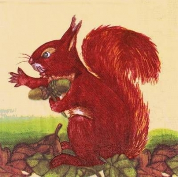 s9363 – Eichhörnchen - Servietten - Packung - 40 Stück