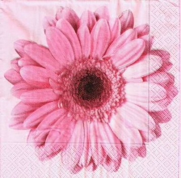 s9400 - Gerbera - Napkins - Package - 20 pcs..