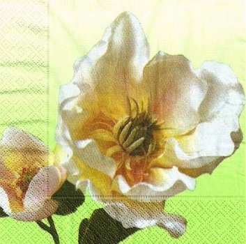 s9417 - Weiße Rose – grün - Napkins - Package - 20 pcs.