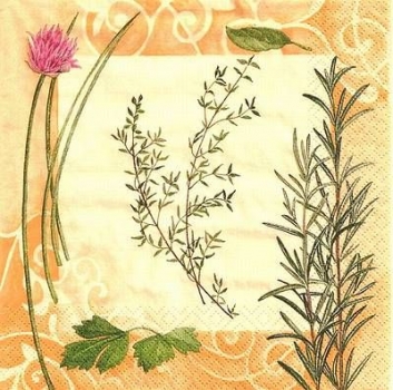 s9436 - Fines Herbes - beige - Servietten - Packung - 20 Stück