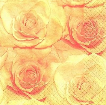s9439 - Rose Poetry - peach - Napkins - Package - 20 pcs.
