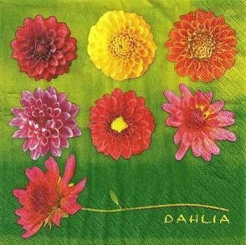 s9441 - Dahlia - green - Napkins - Package - 20 pcs.