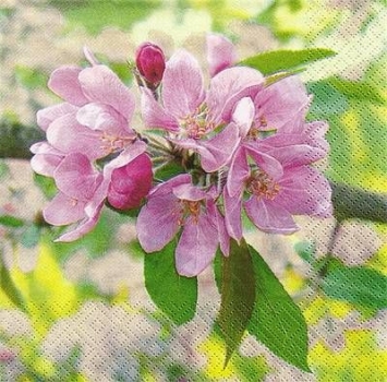s9449 - Japanese Cherry - Napkins - Package - 20 pcs.