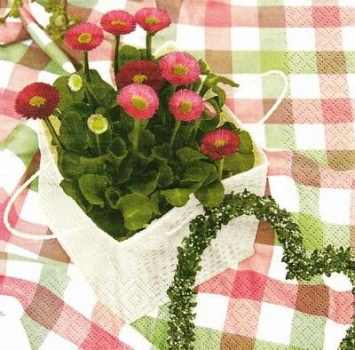 s9457 - Pomponette with Heart - Servietten - Packung - 20 Stück