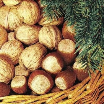 s9490 - Nutty - Servietten - Packung - 20 Stück