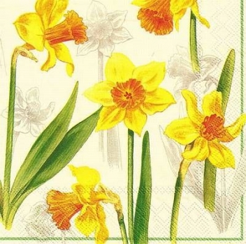 s9557 - Narcissus - cream - Servietten - Packung - 20 Stück.