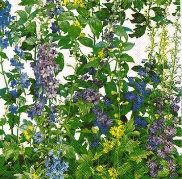 s9578 - Delphinium - white - Servietten - Packung - 20 Stück