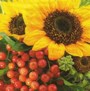s9599 - Sunny Day - Servietten - Packung - 20 Stück