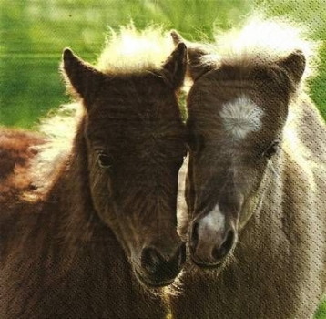s9601 - Pony - Servietten - Packung - 20 Stück