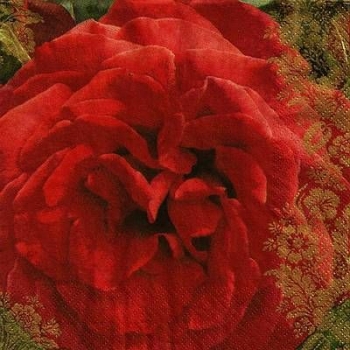 s9616 - Rosenstolz! - Napkins - Package - 20 pcs.